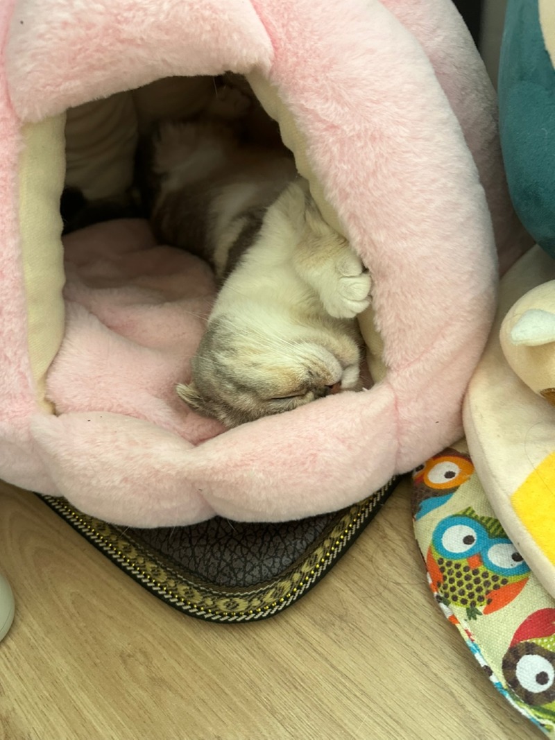 KakaoTalk_20240315_202826419.jpg