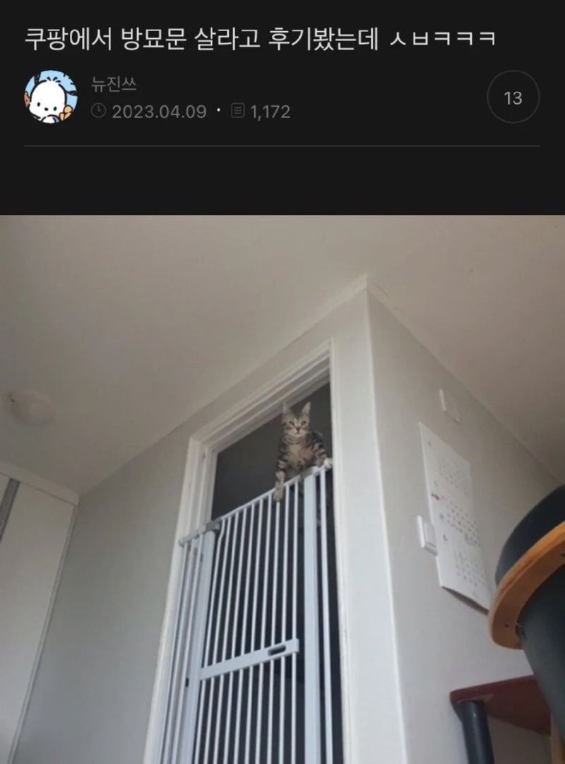 고양이 방지문 사용후기