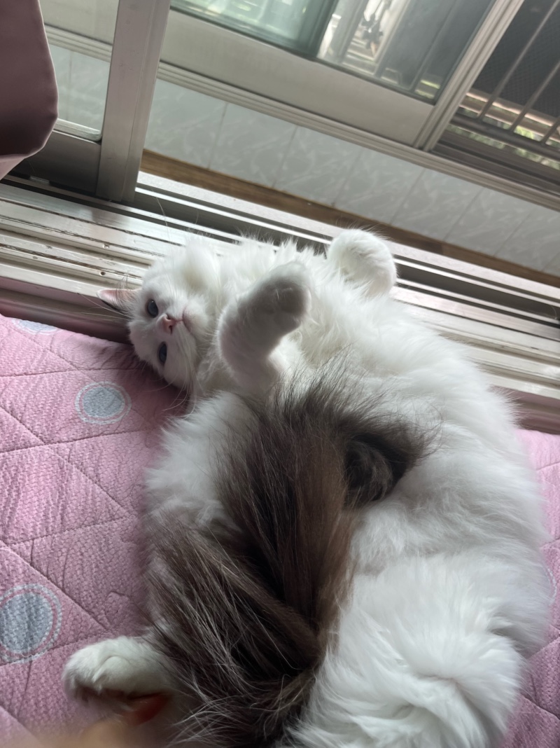 창가가 좋아~