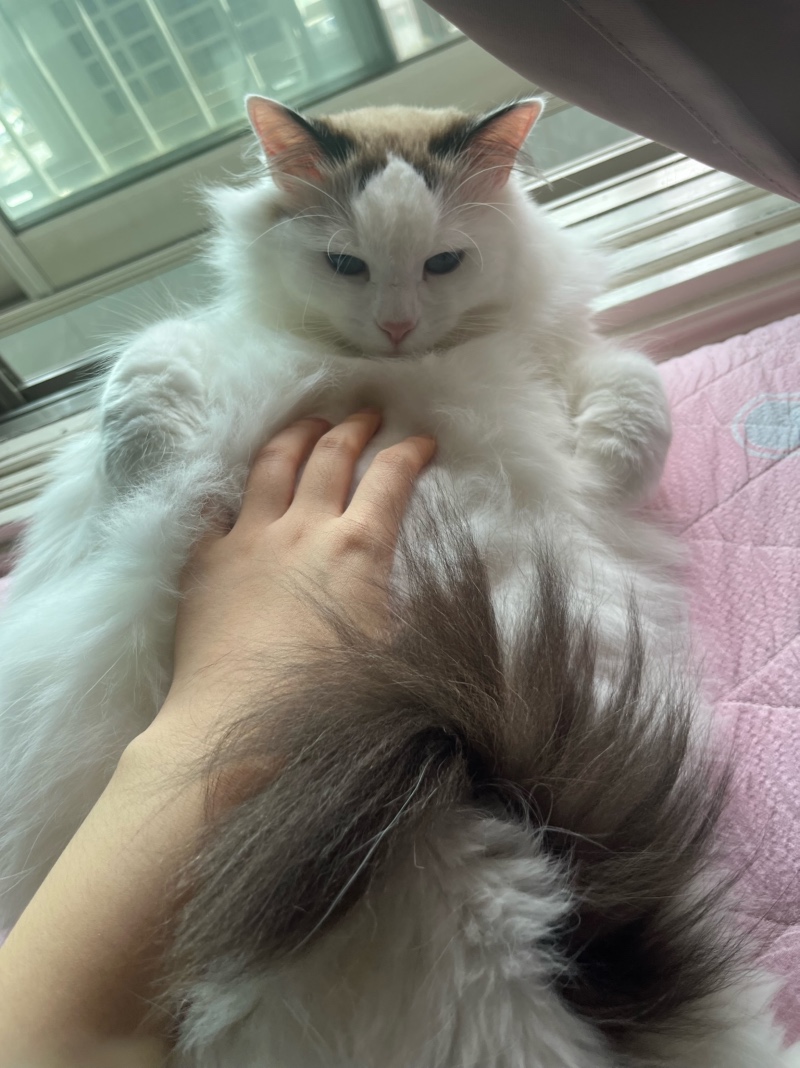 창가가 좋아~
