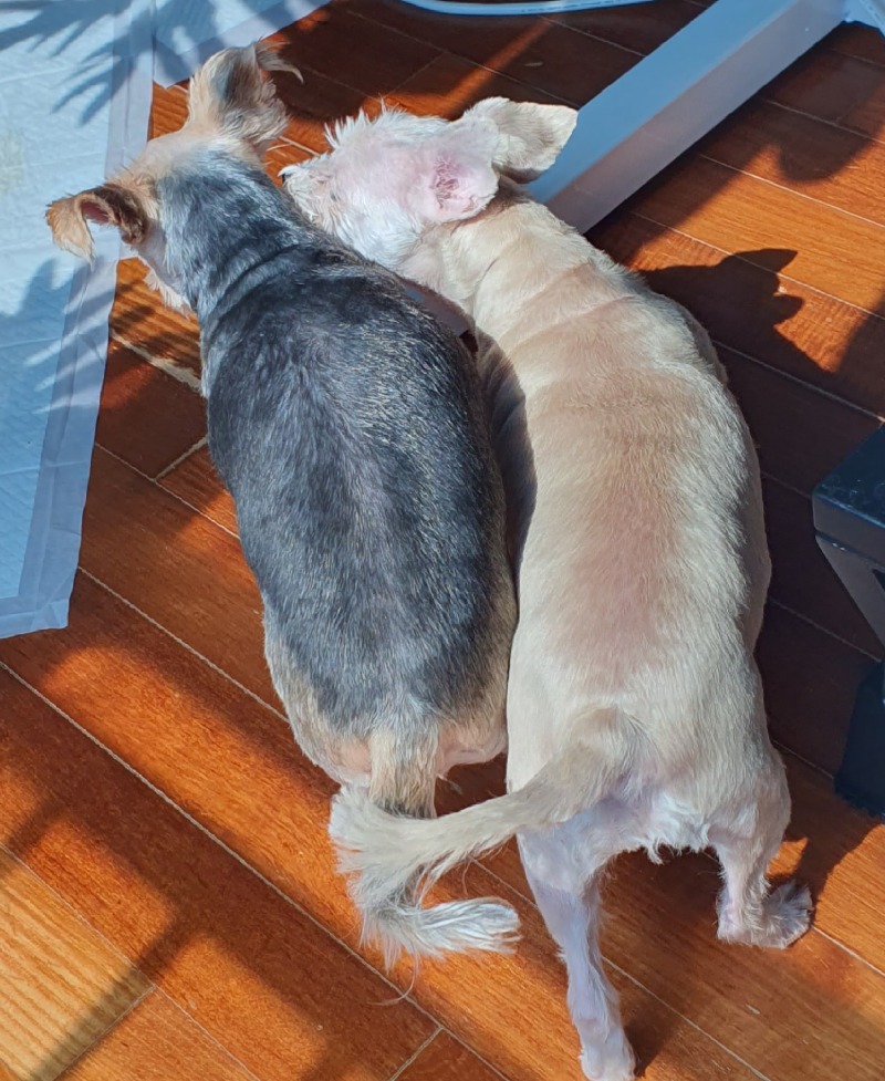 엄마의 공격