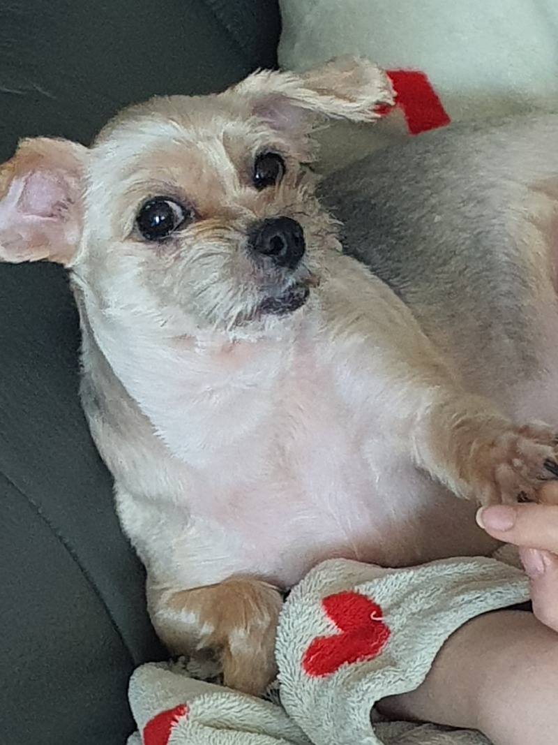 살이 너무 쪘어