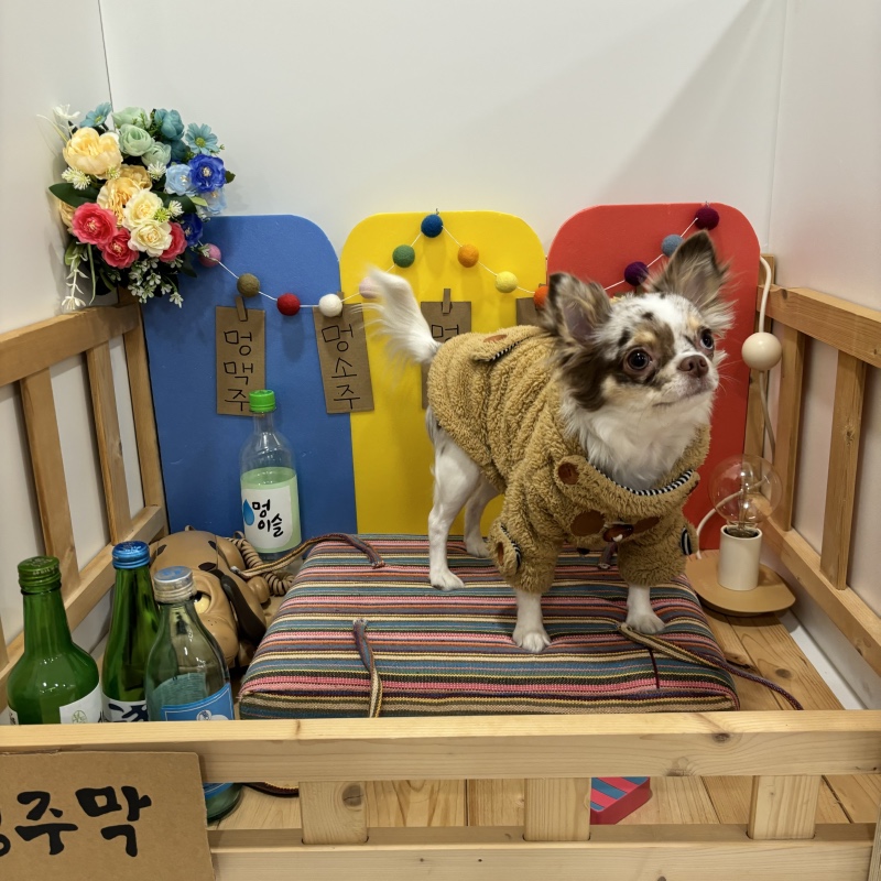 호듀
