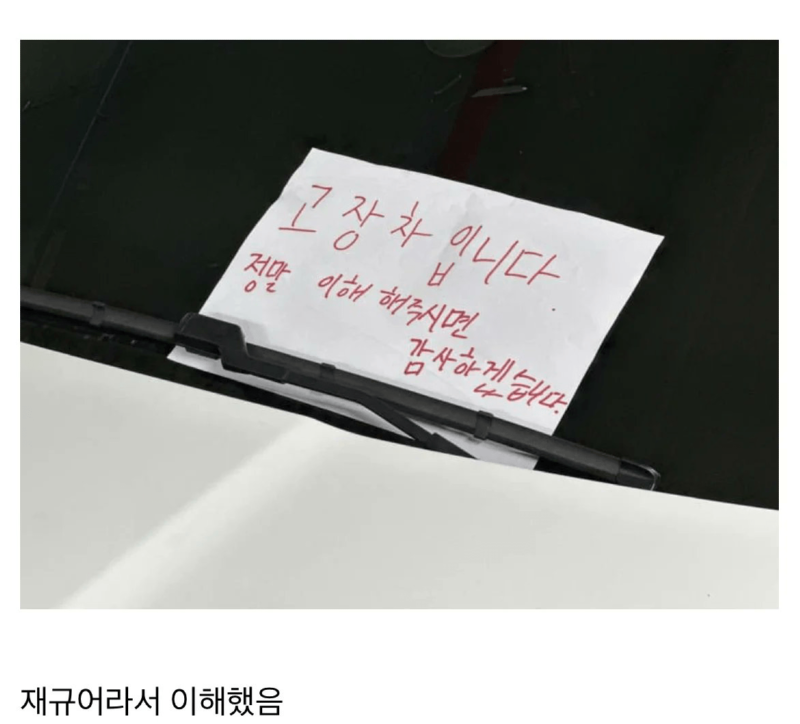 주차를 이상하게 해도 이해할 수 있는 차량 