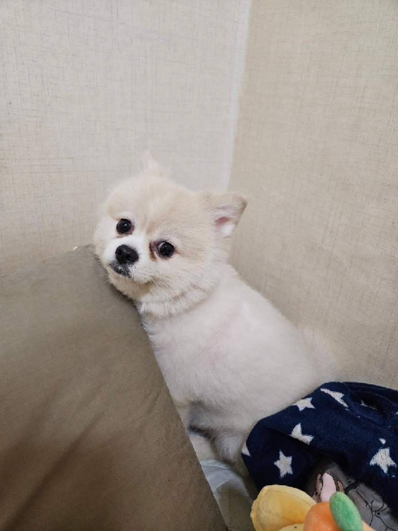 비가와서 밖에나갈수가없어요ㅠㅠ