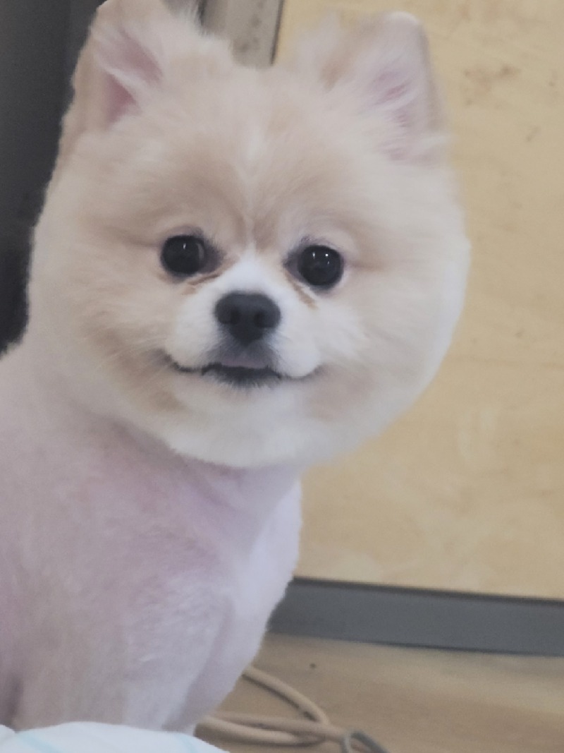 비가와서 밖에나갈수가없어요ㅠㅠ