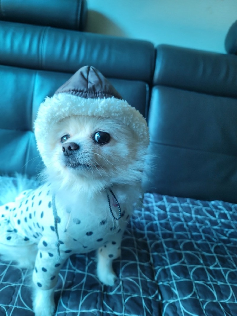 조금씩 더워지려다가 또 비가오네요ㅠㅠ