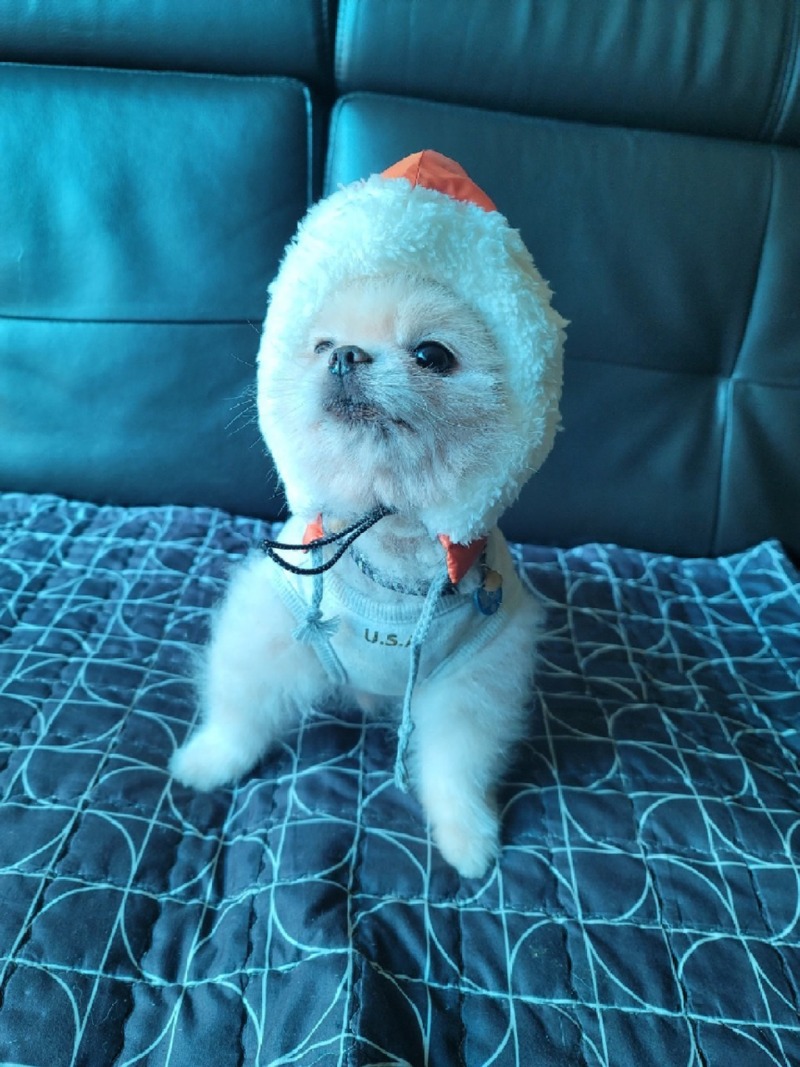 조금씩 더워지려다가 또 비가오네요ㅠㅠ
