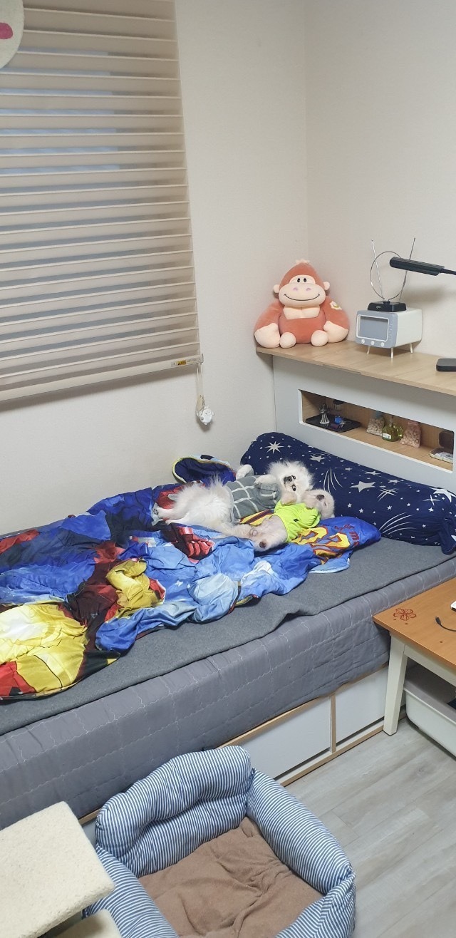 어디든 기대고 자는 잠만보