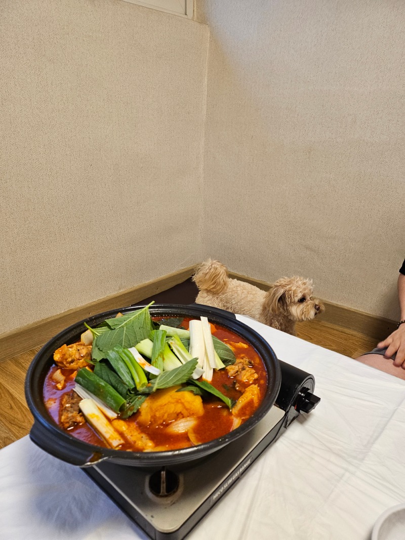 김포 개별룸 식당 닭향