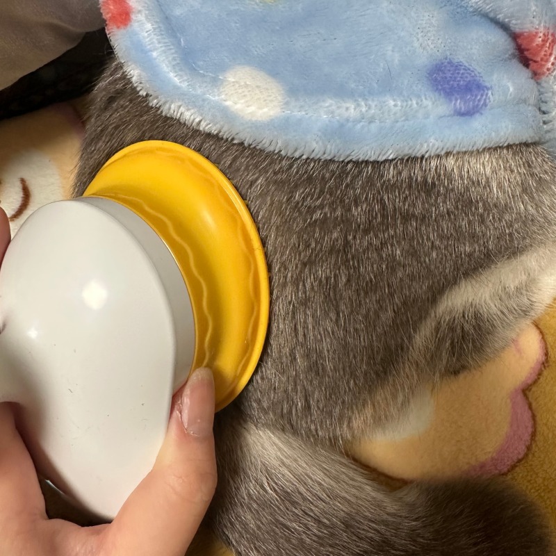 KakaoTalk_20240325_172603609_01.jpg