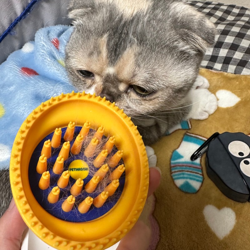 KakaoTalk_20240325_172603609_03.jpg