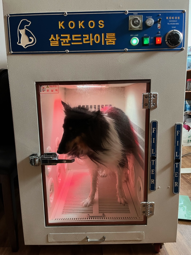 IMG_4288.jpeg