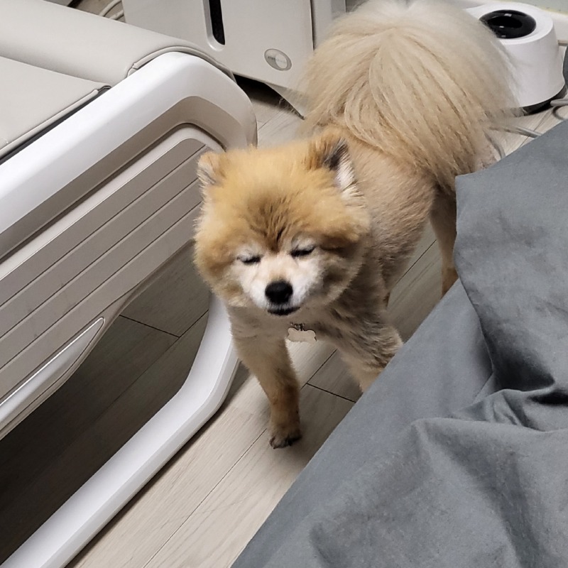 멈무 ♥