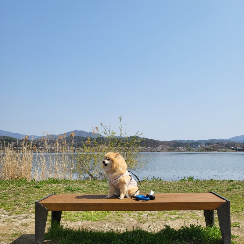 팔당 돌미나리집!