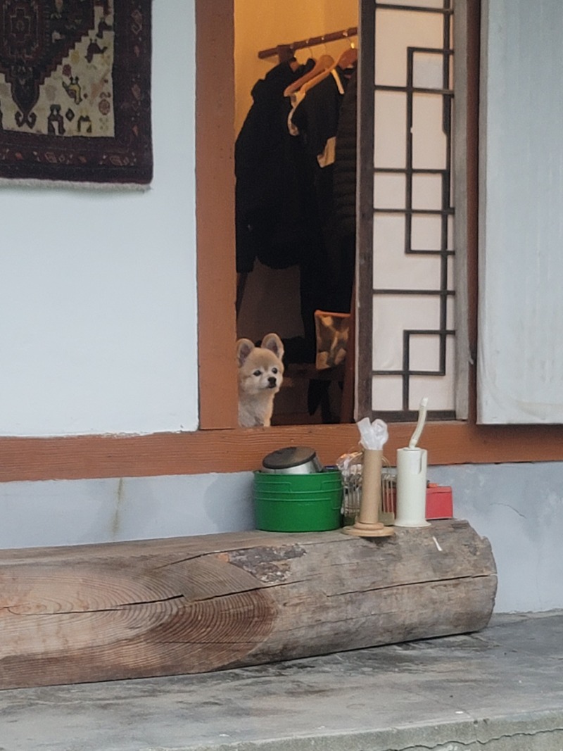 까사초당 !