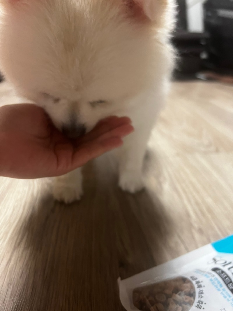 KakaoTalk_20240403_152738901_06.jpg