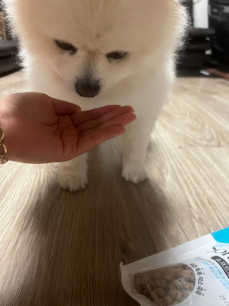 KakaoTalk_20240403_152738901_07.jpg