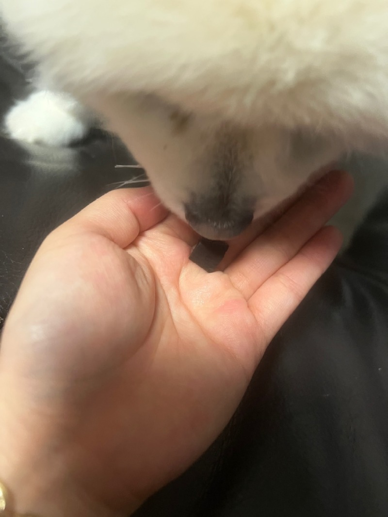 KakaoTalk_20240403_153703727_03.jpg