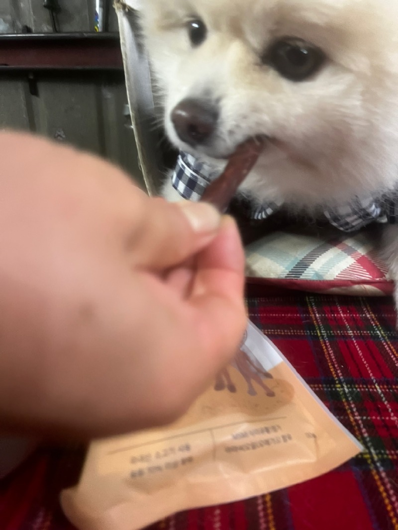 KakaoTalk_20240403_154413827_06.jpg