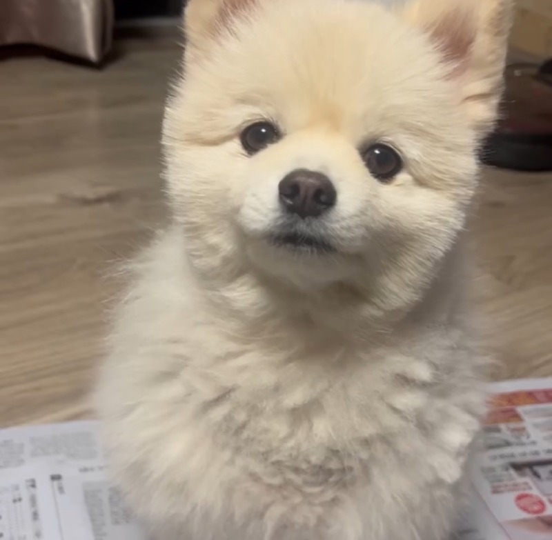셀프 미용 다들 잘 하시나요???