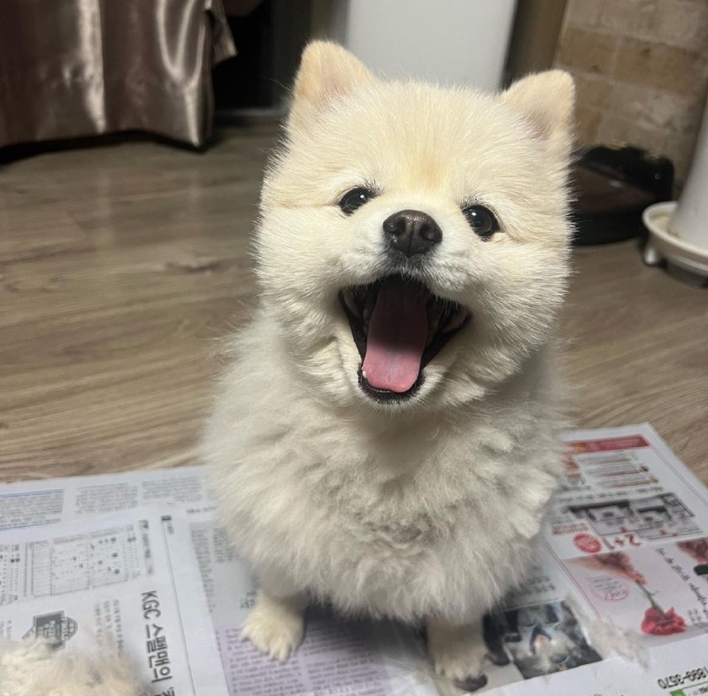 셀프 미용 다들 잘 하시나요???