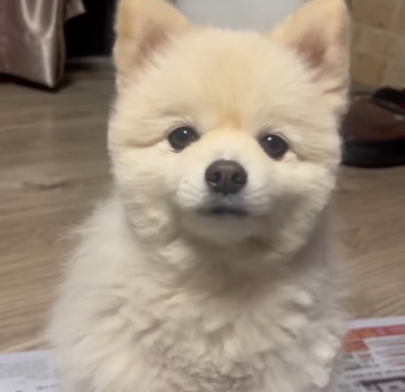 셀프 미용 다들 잘 하시나요???