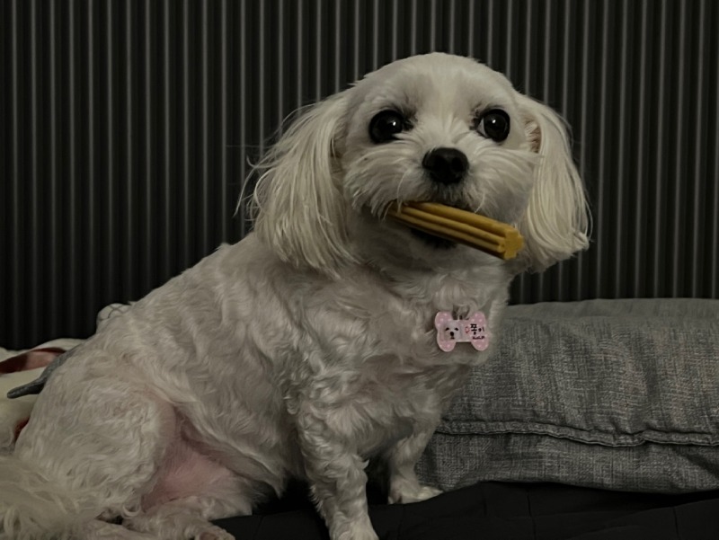 KakaoTalk_20240312_233544788_12.jpg