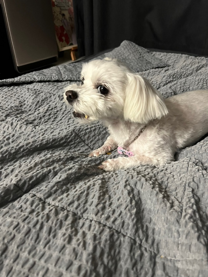 KakaoTalk_20240312_233544788_19.jpg