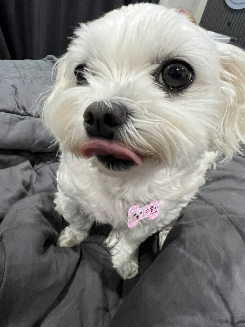 KakaoTalk_20240313_002811596.jpg