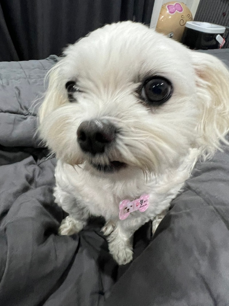 KakaoTalk_20240313_002812294.jpg