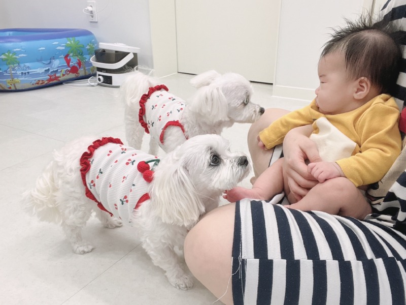 우리 이제 좀 더 친해졌답니다 !! 애개 육아 