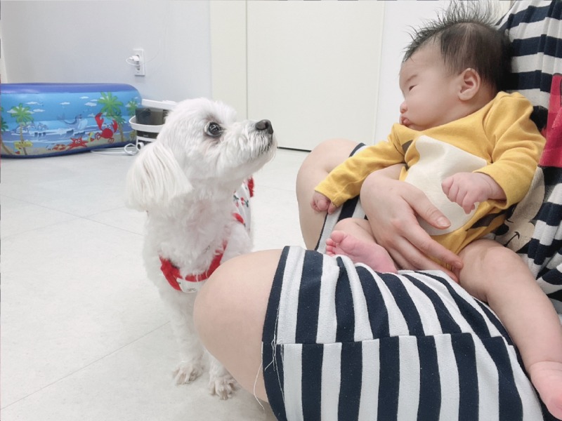 우리 이제 좀 더 친해졌답니다 !! 애개 육아 