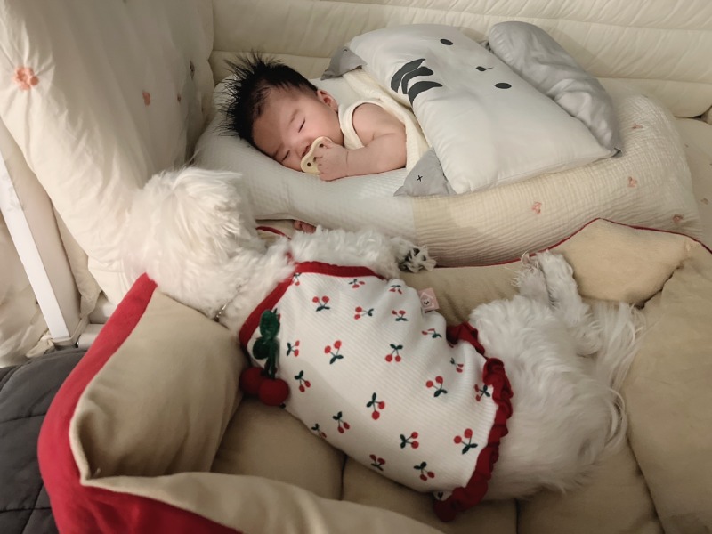 우리 이제 좀 더 친해졌답니다 !! 애개 육아 