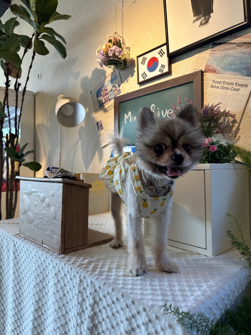 포토존 대박 많은 멍리버!!
