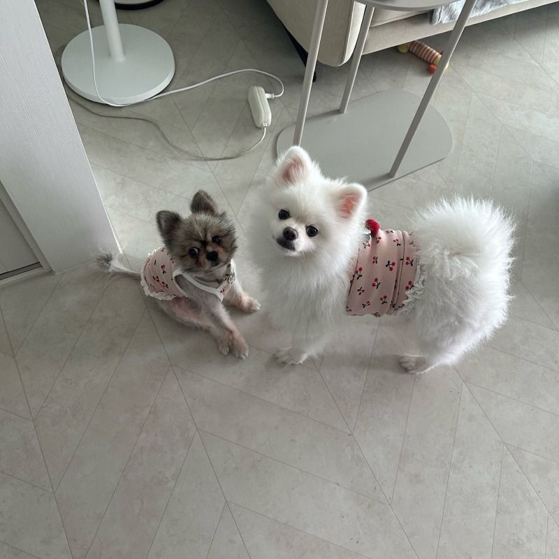 KakaoTalk_20240309_004656669.jpg