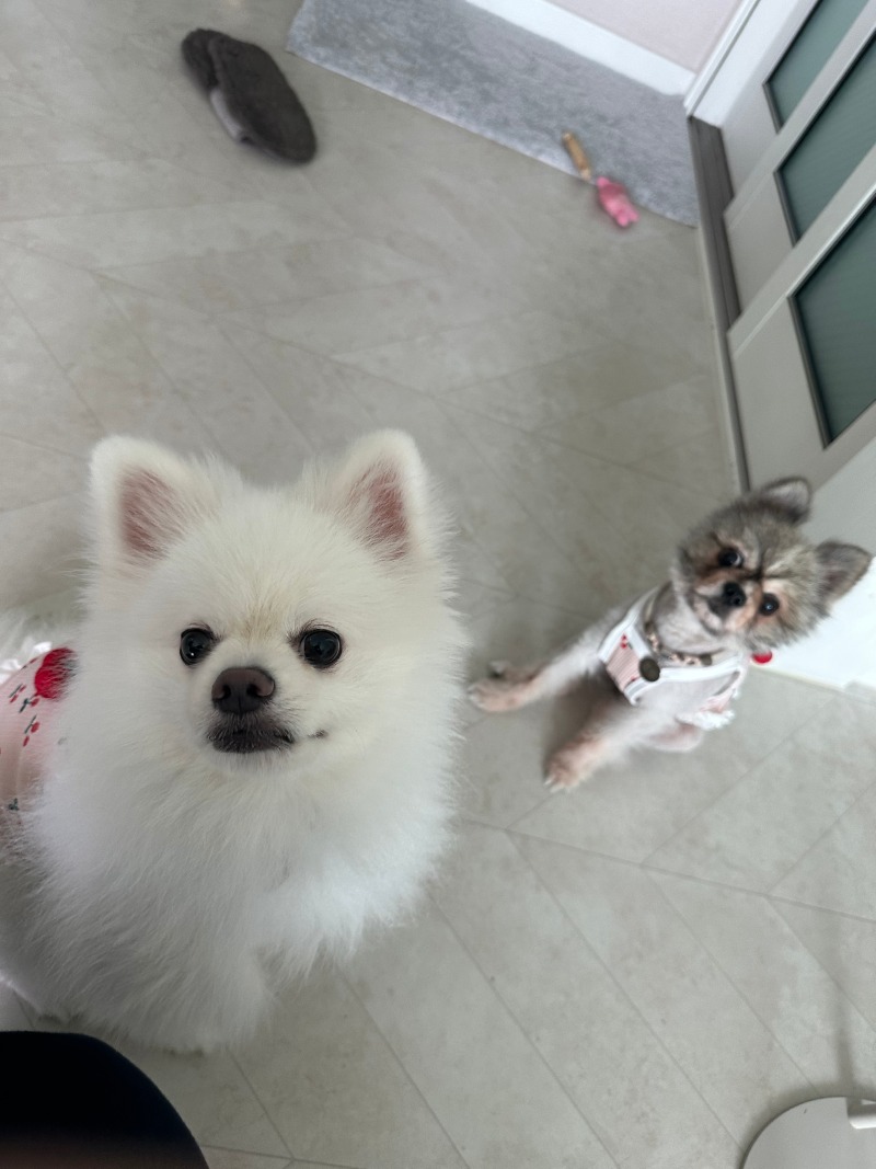 KakaoTalk_20240309_004656669_04.jpg