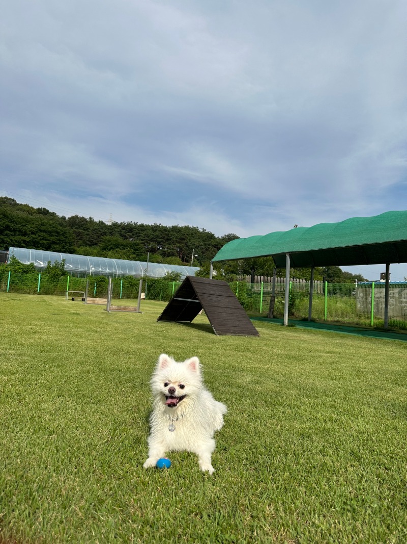 그래 미친듯이 놀고 들어가자... 집에 들어가면 얌전히 자야해... 