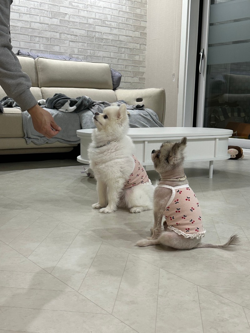 그래 미친듯이 놀고 들어가자... 집에 들어가면 얌전히 자야해... 