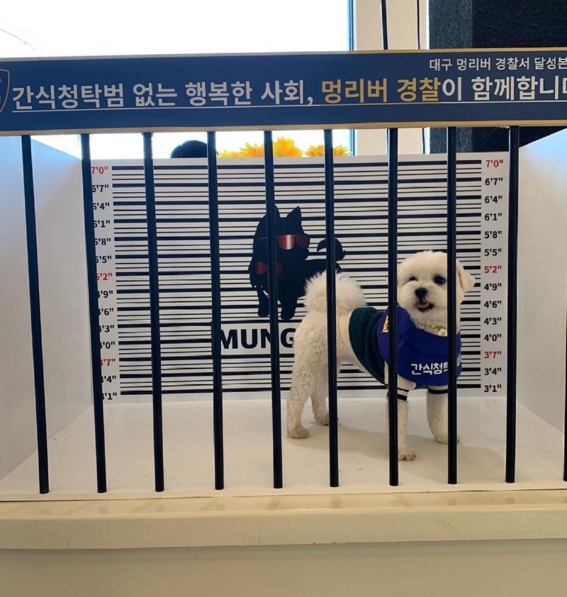 신나게 놀고갑니다 멍리버!