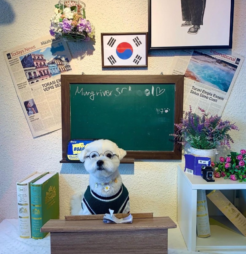 신나게 놀고갑니다 멍리버!