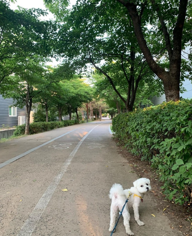 무한 산책이라고 들어는 보셨나?