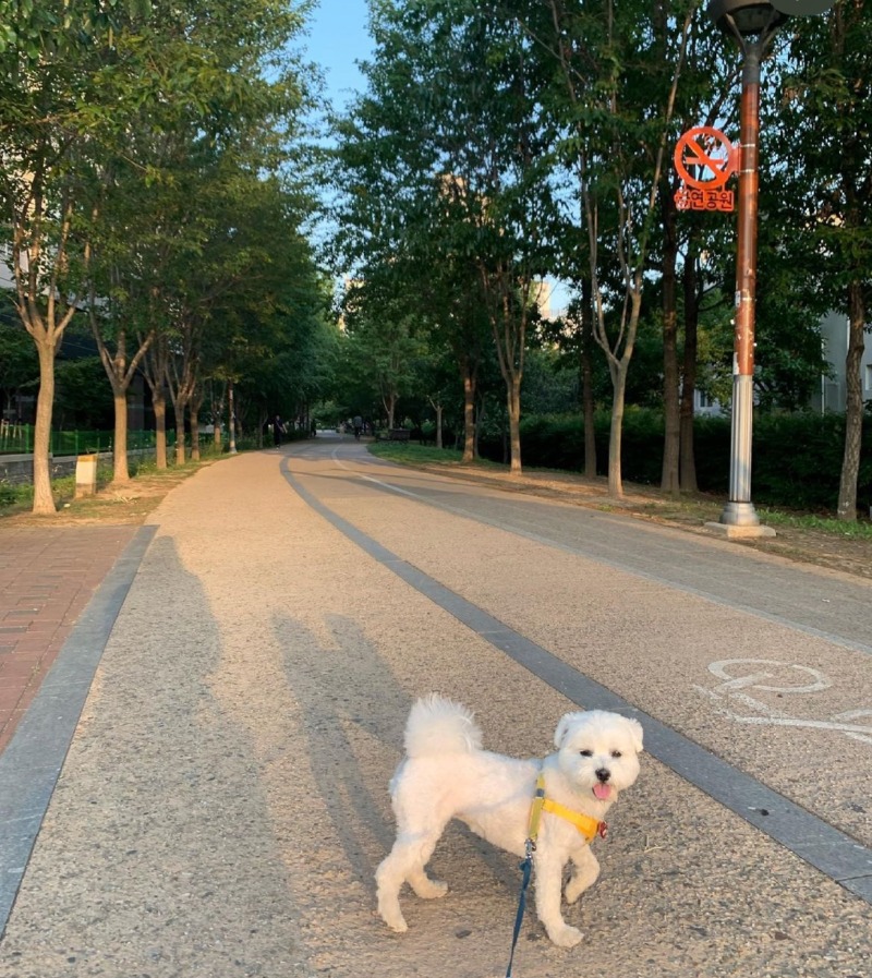 무한 산책이라고 들어는 보셨나?