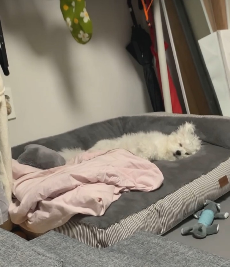 무한 산책이라고 들어는 보셨나?