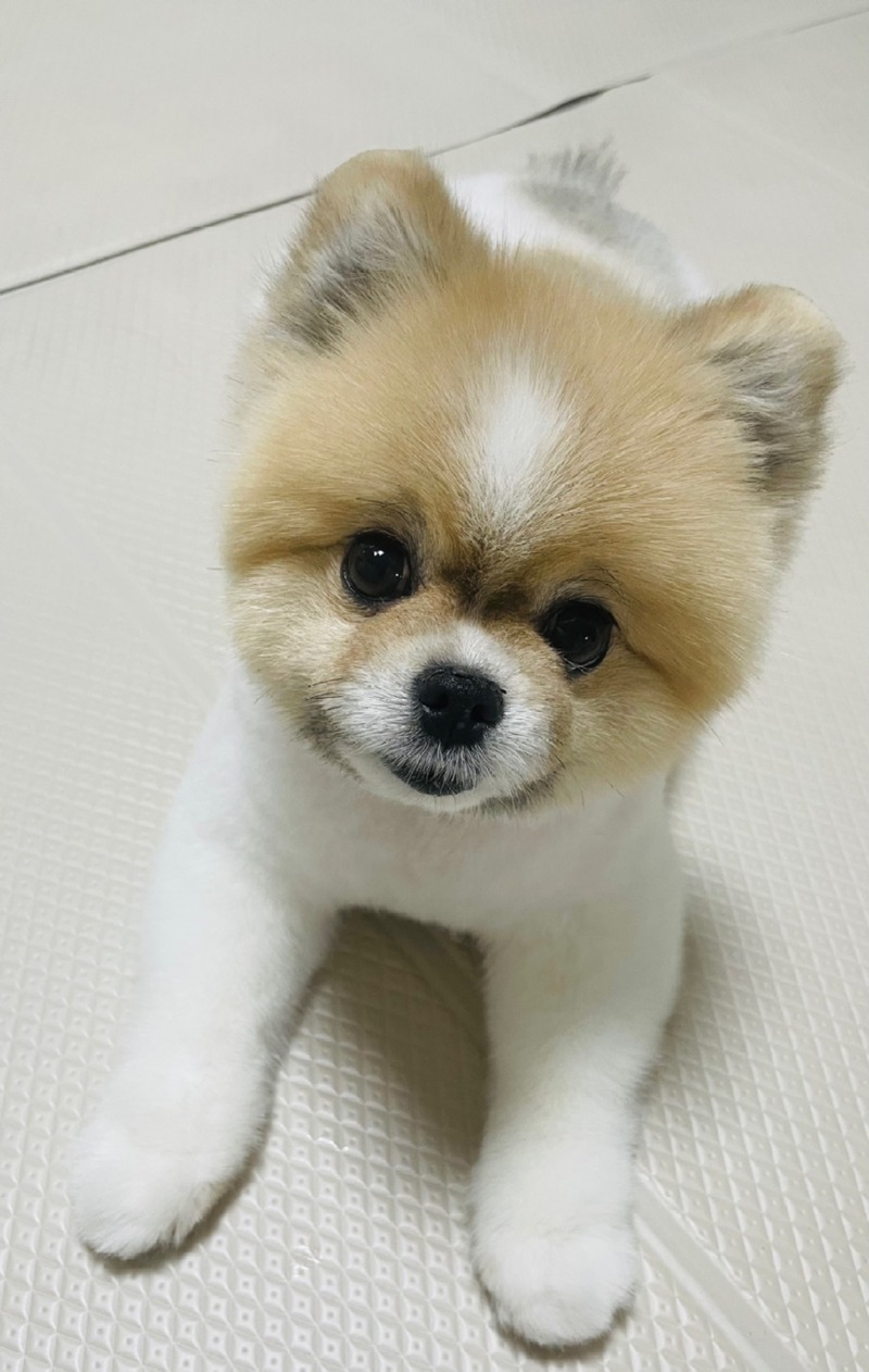칸쵸야 반가워!