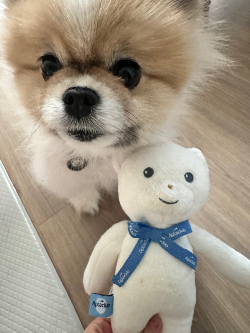 칸쵸야 반가워!