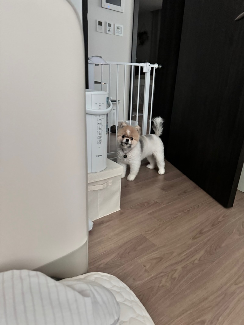 칸쵸야 반가워!