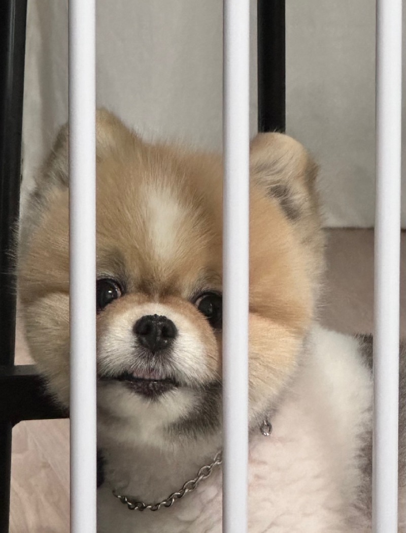 칸쵸야 반가워!