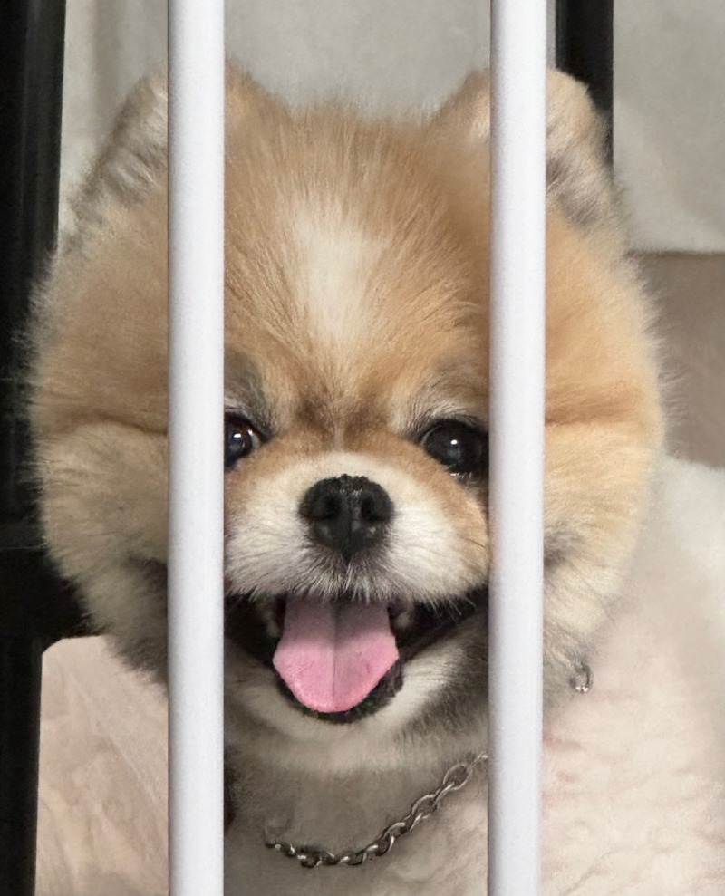 칸쵸야 반가워!
