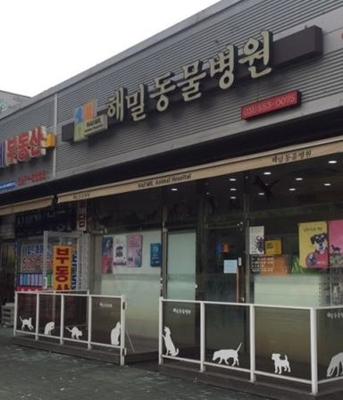 진접 해밀 동물병원